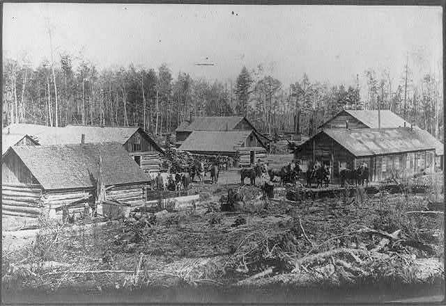 MWG - Website - Blog - Jawin' with Jamie - Lumber Camp v2