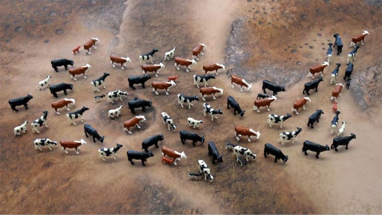 MWG - Blog - Exiles - Exiles Game - Game Turn - Roundup